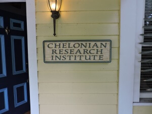 Chelonian Research Institute