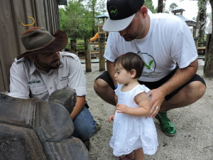 Anthony's daughter meeting a Galapagos Tortoise