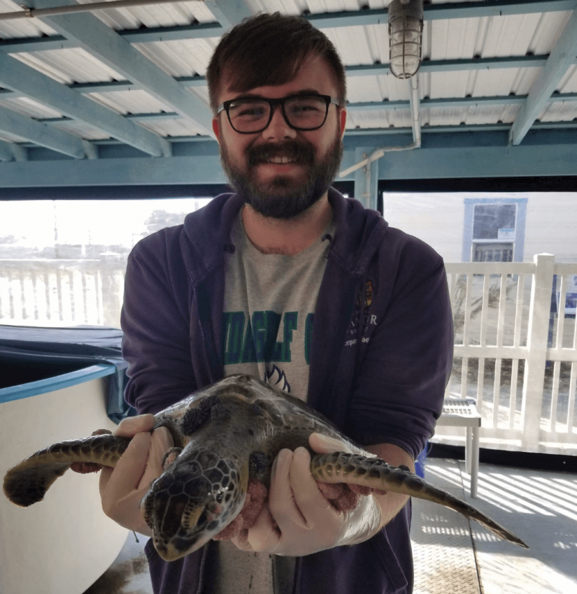 Liam Whitmore - World Turtle News Editor