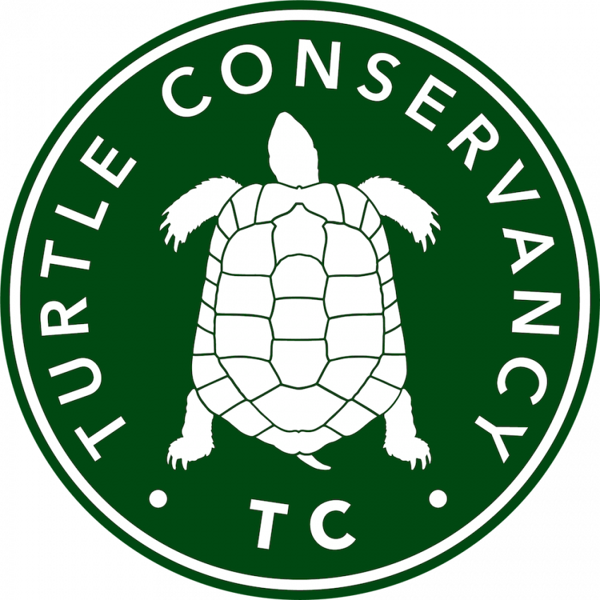 Turtle Conservancy, a partner of theTurtleRoom